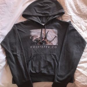 Hollister co. Sweatshirt